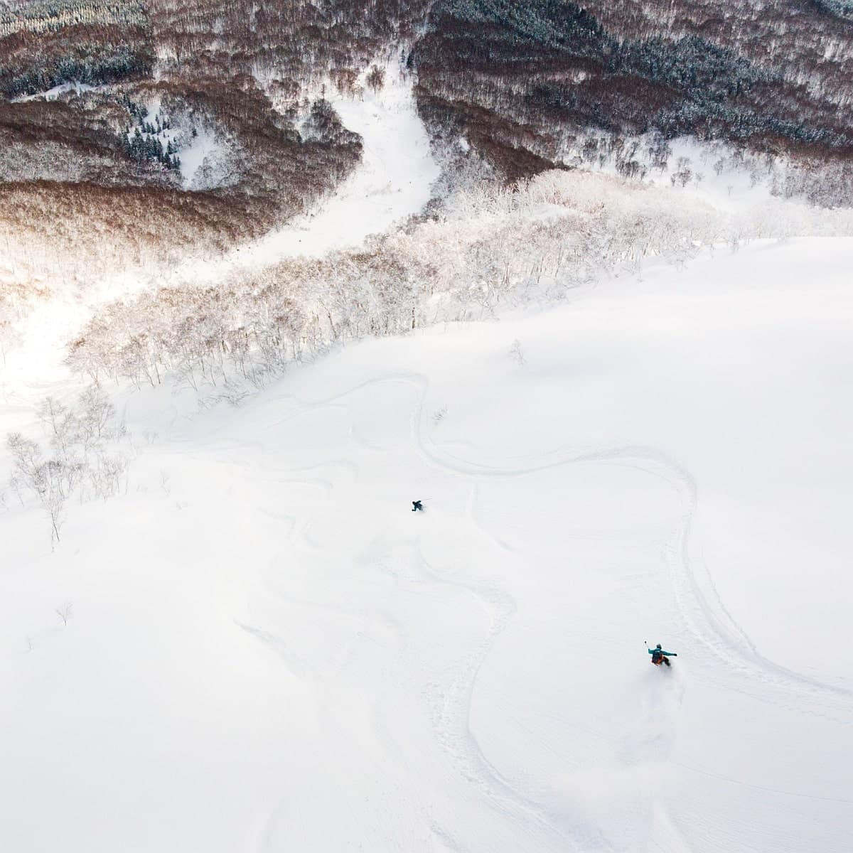 Japonia Hokkaido Freeride Tour