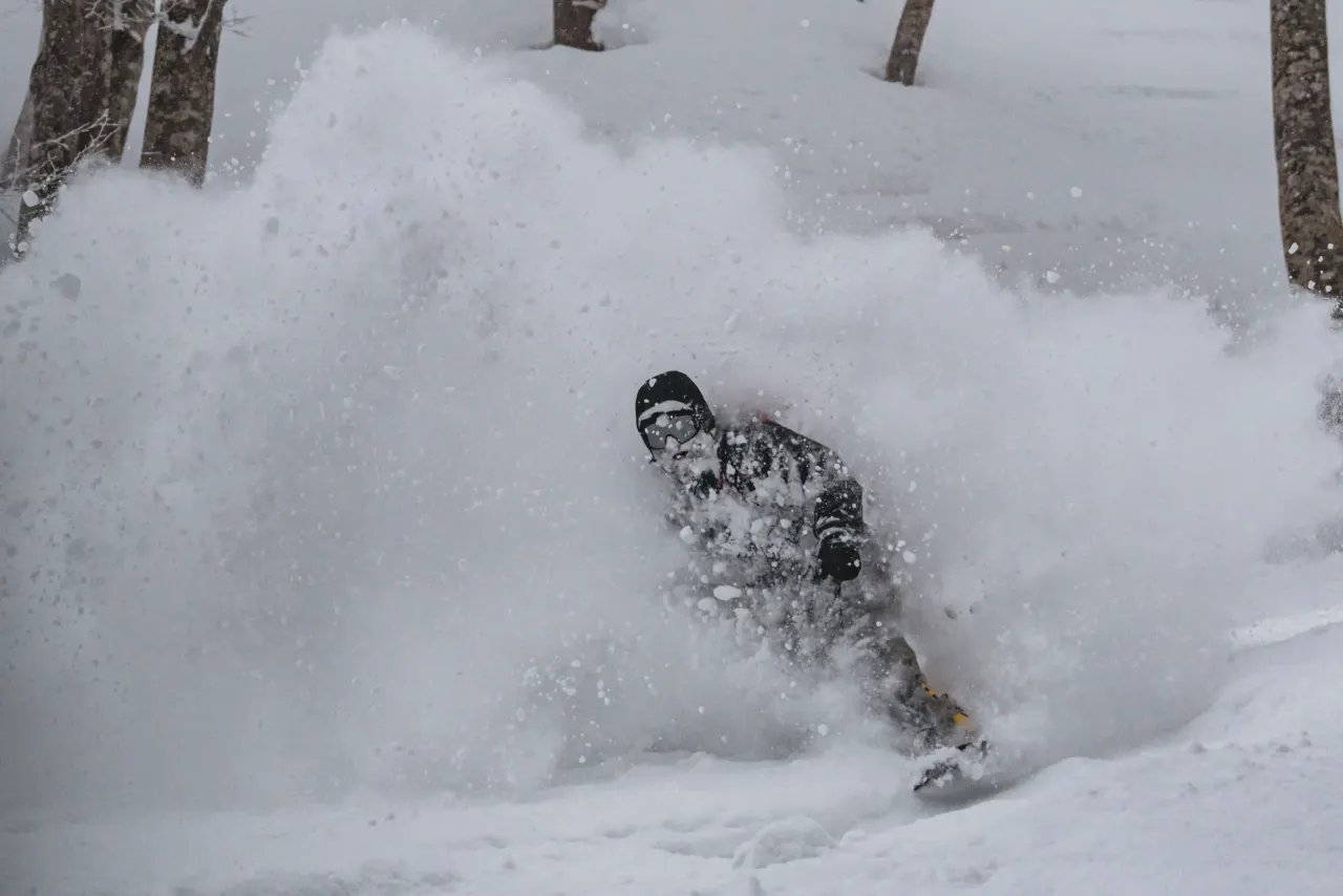 Freeride Japonia Madarao Japow