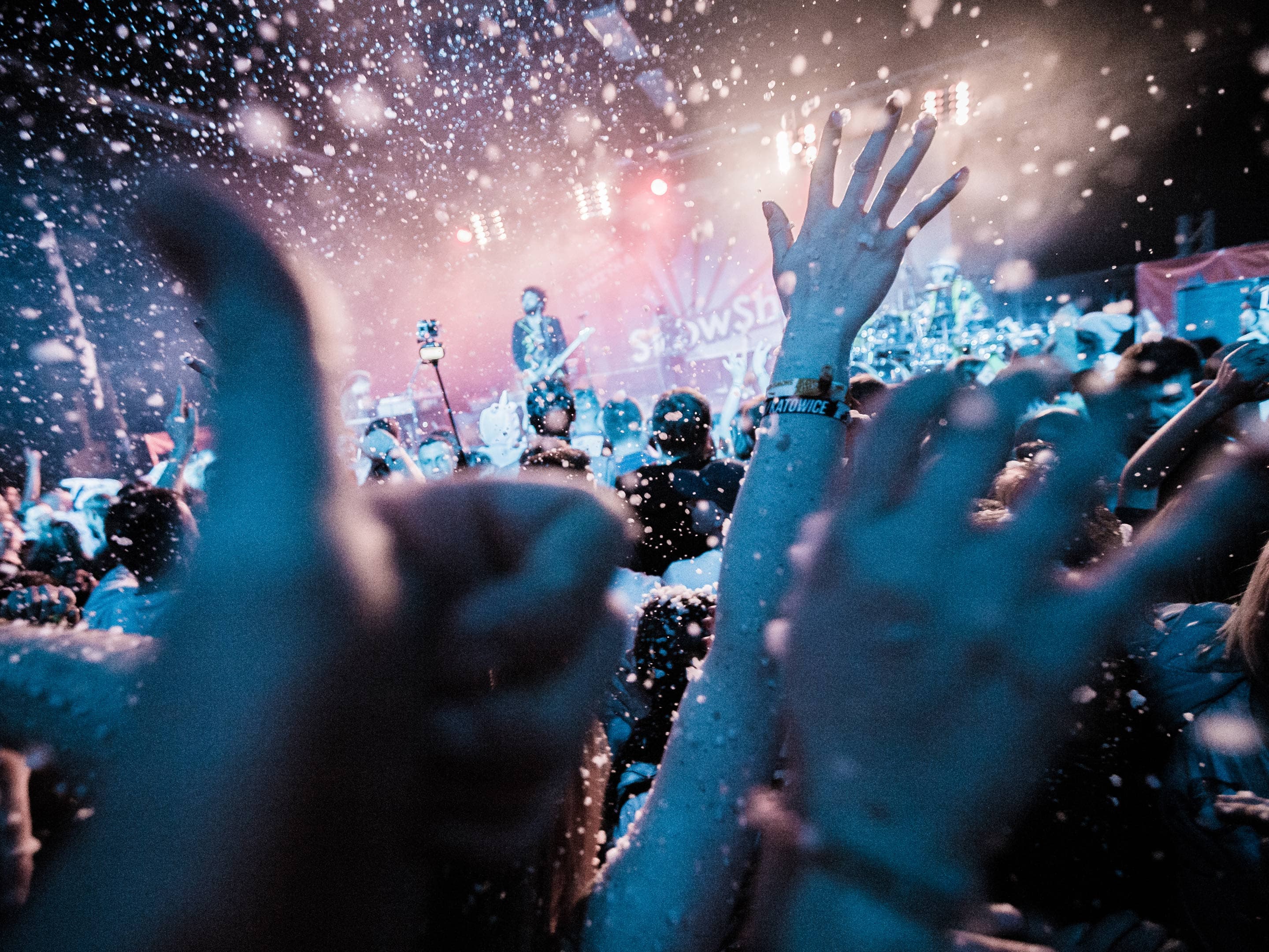 SnowShow Music Fest