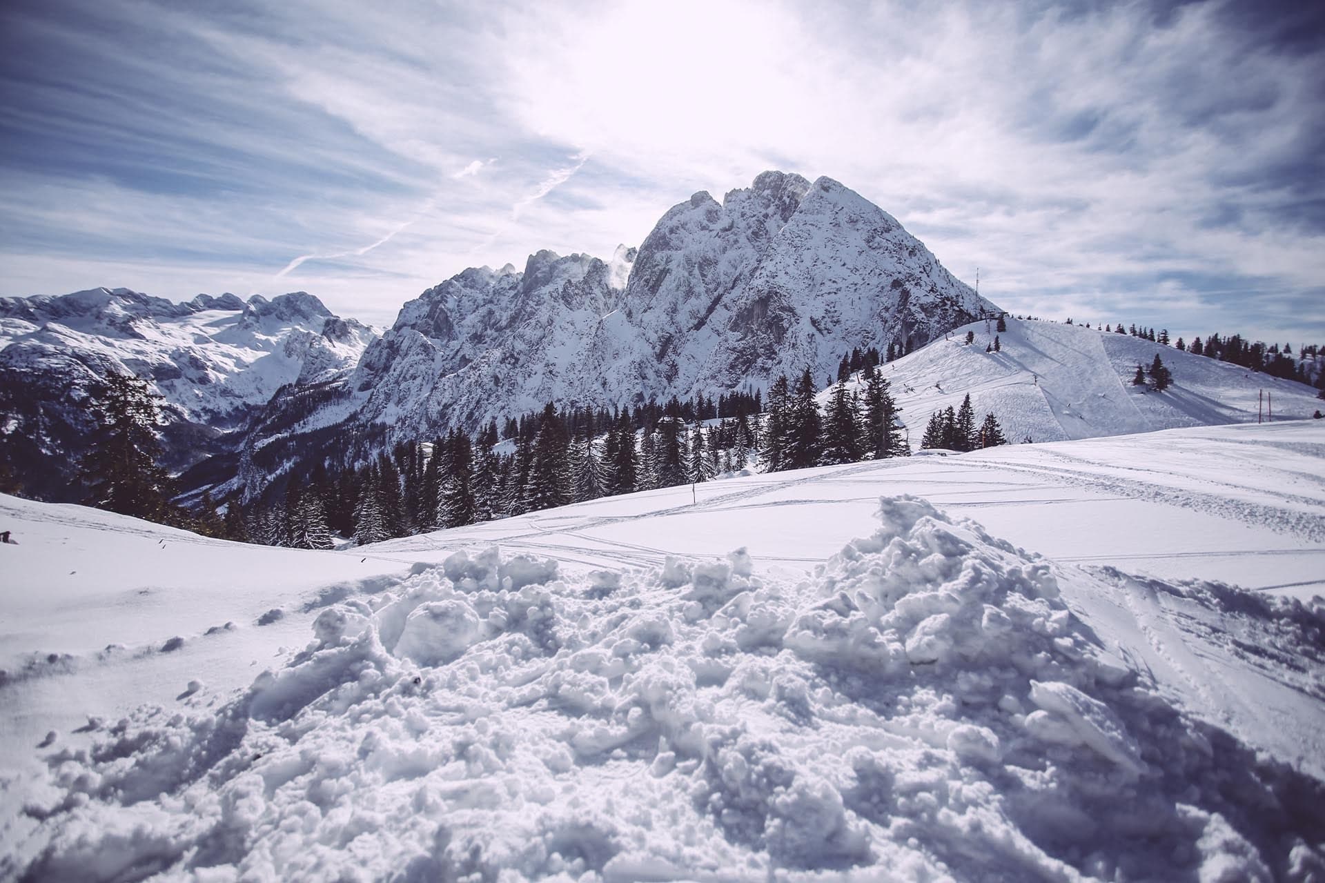 Pure Austrian Powder
