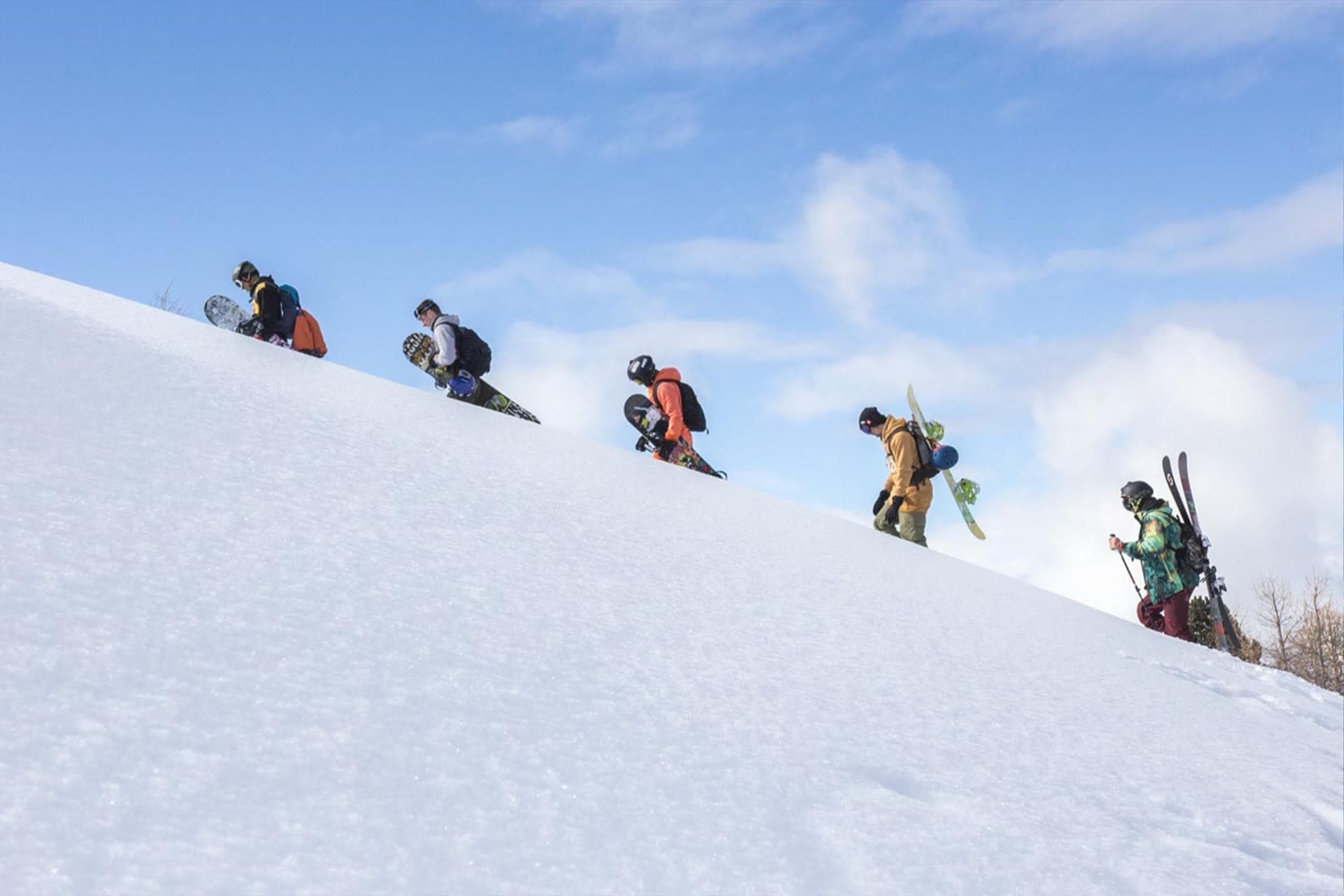 Swiss Alps and Fun