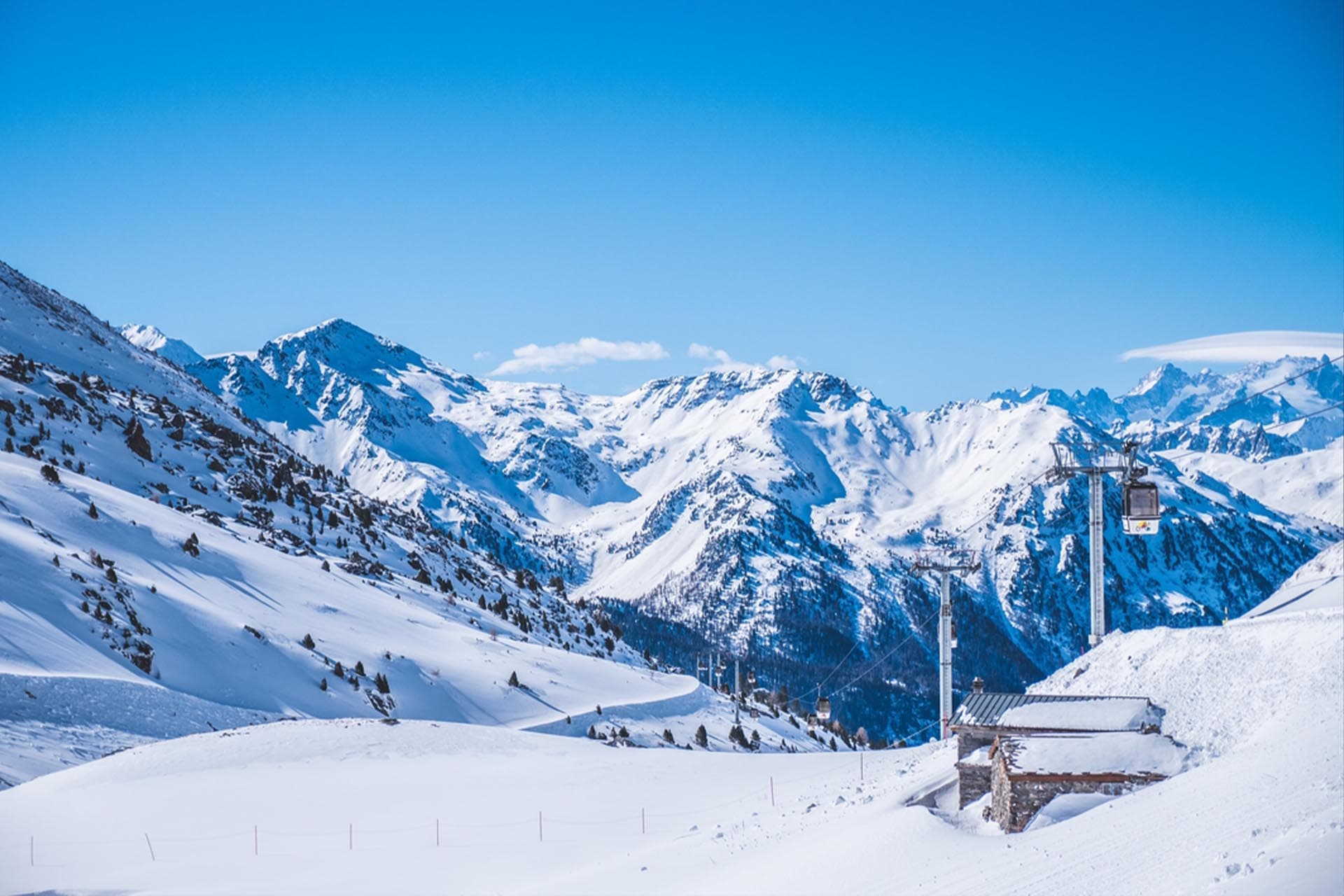 Swiss Chill